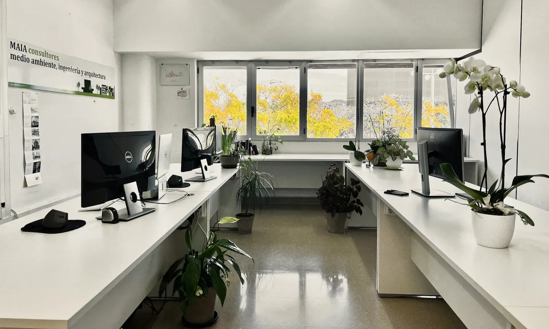 Fotografía de Estudio de alma Maia arquitectura